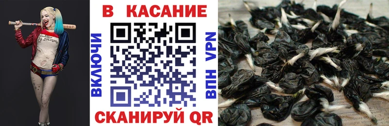 Магазины продажи наркотиков Чебоксары Канабис  COCAIN  ГАШИШ 
