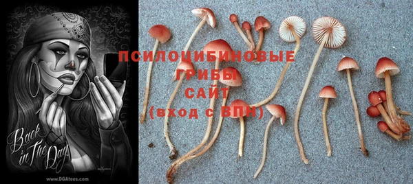 трава Верхнеуральск