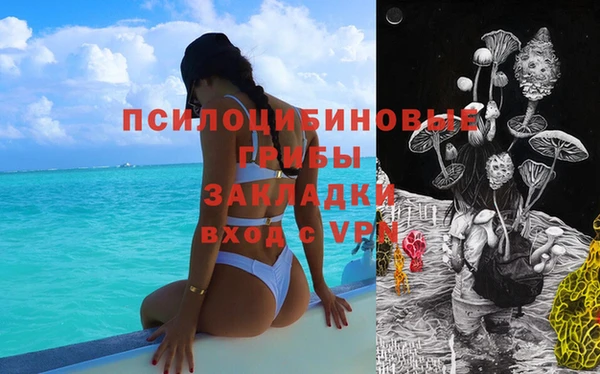 трава Верхнеуральск