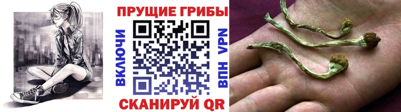 Галлюциногенные грибы ЛСД Чебоксары